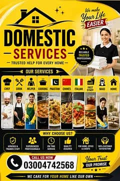 House Maids , Babysitter , Patient Care , Nurse , Driver, Maids, Cook
