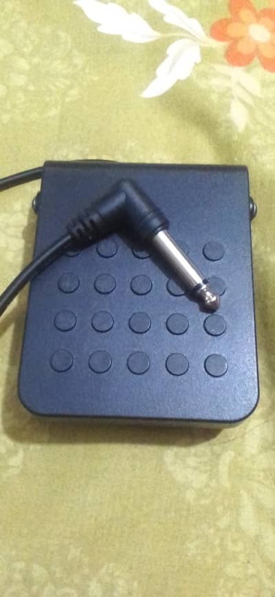 sustain pedal