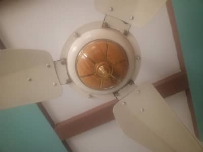 ceiling fans 8pc