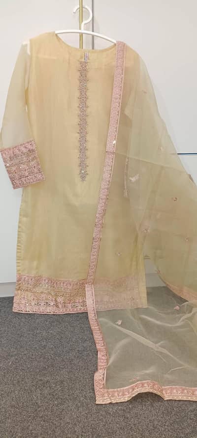 Fancy Formal Organza Dress with Pink Border & Dupatta - Medium Size
