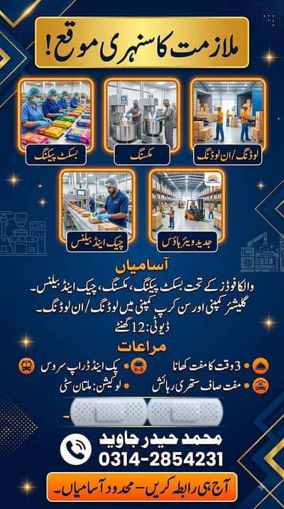 i need staff for Biscuit Factory, Office work also available