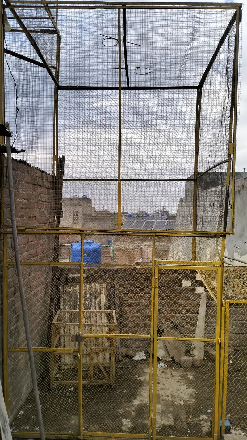 SB pice MN ha cage ,7 /7 k hn — photo 3