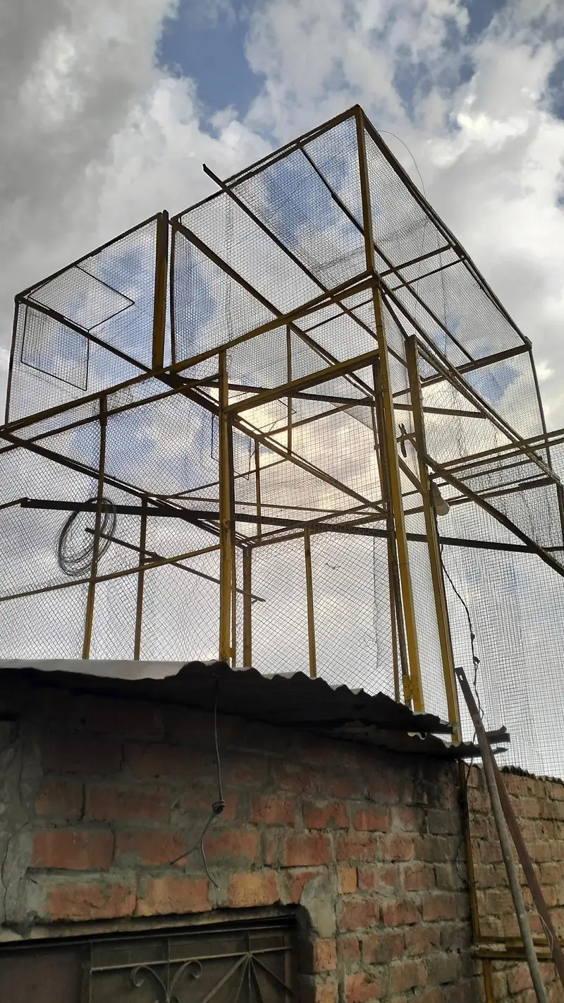 SB pice MN ha cage ,7 /7 k hn — photo 5