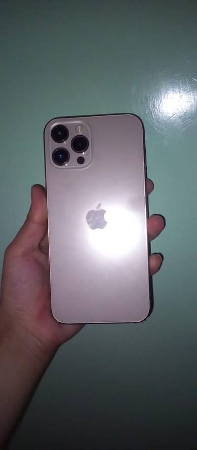 Apple iPhone 12 Pro Max