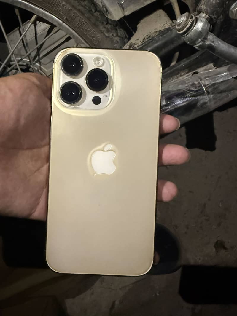 Apple iPhone 14 Pro Max 1
