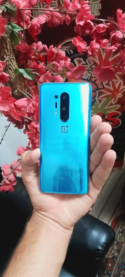 One Plus 8 Pro only one line