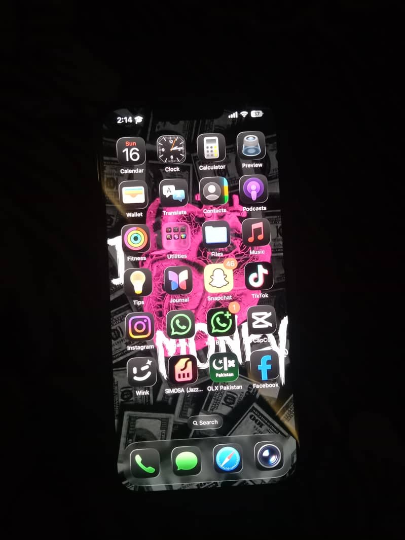 Apple iPhone 13 0
