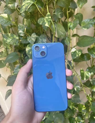Apple iPhone 13