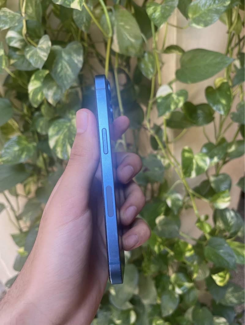 Apple iPhone 13 1