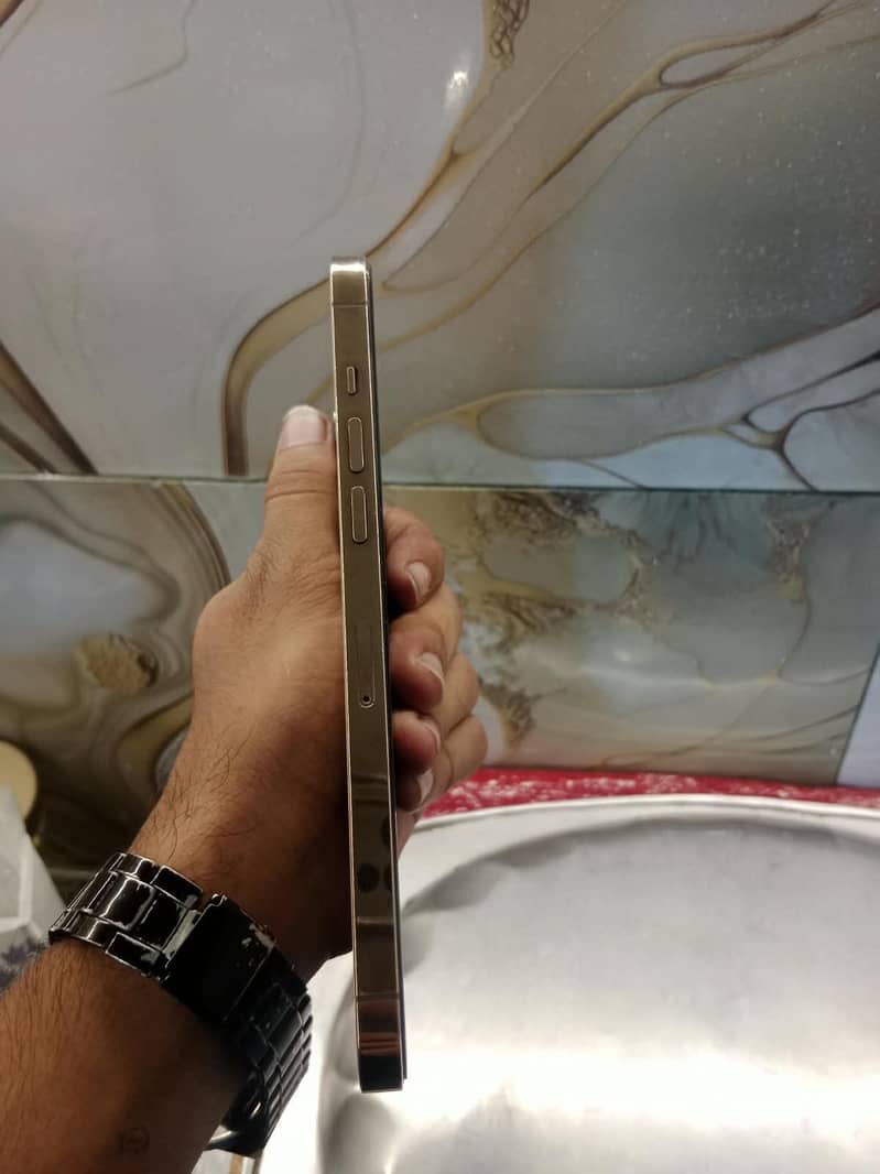 Apple iPhone 12 Pro Max 0