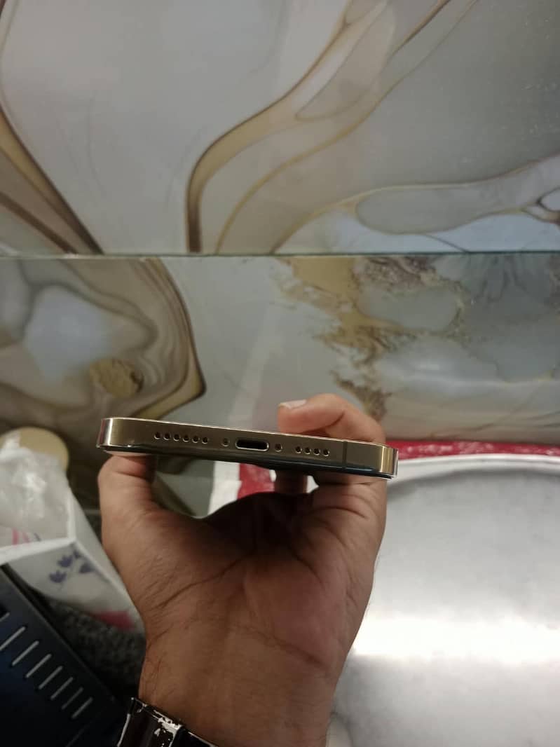 Apple iPhone 12 Pro Max 1