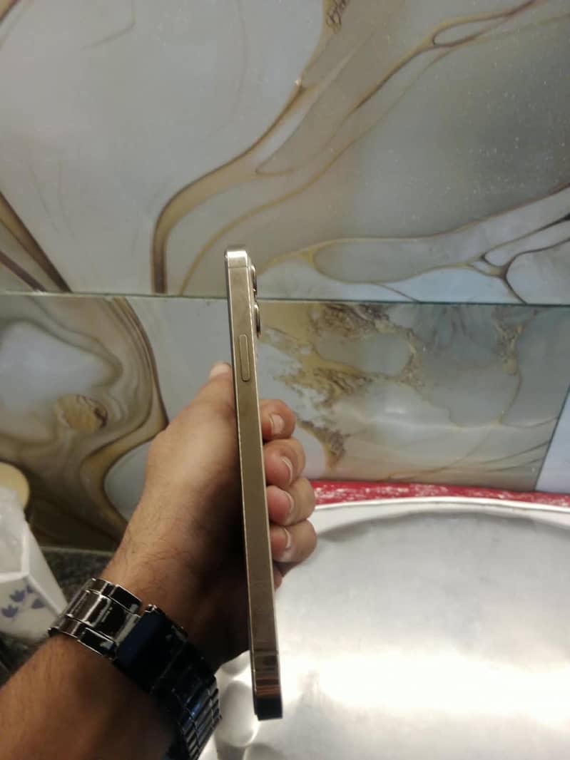 Apple iPhone 12 Pro Max 2