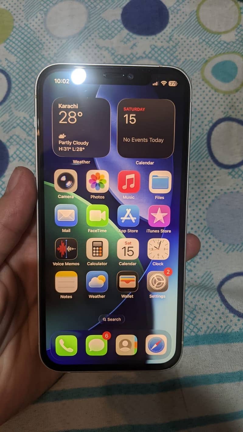 Apple iPhone 12 1