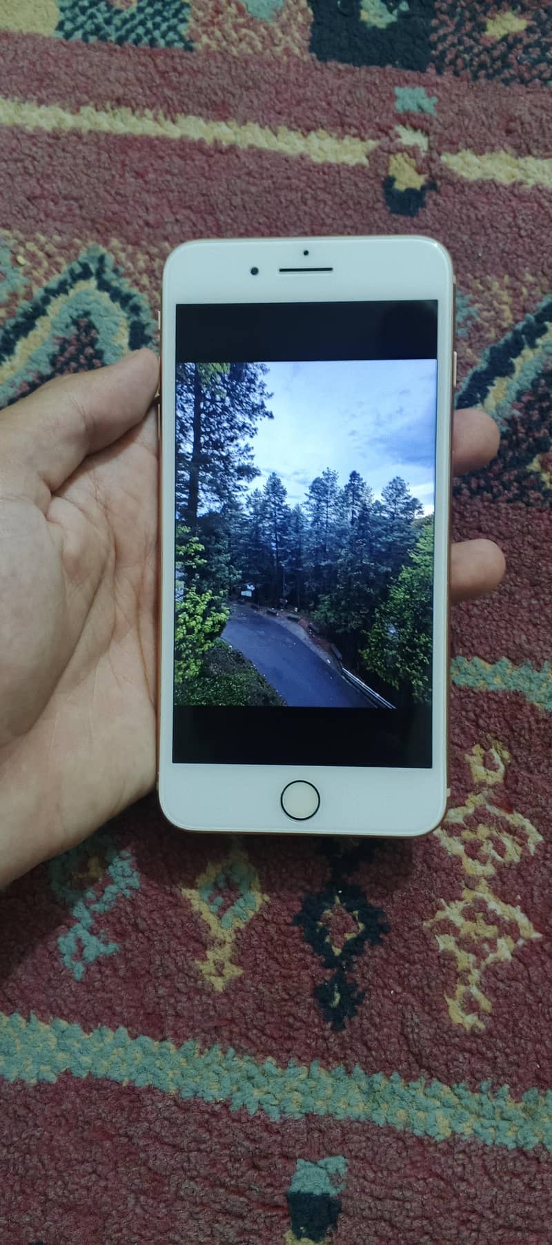 Apple iPhone 8 Plus 1