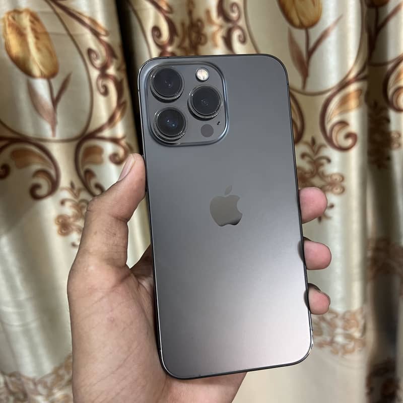 13 pro 1