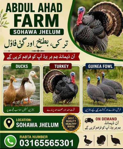 Awais