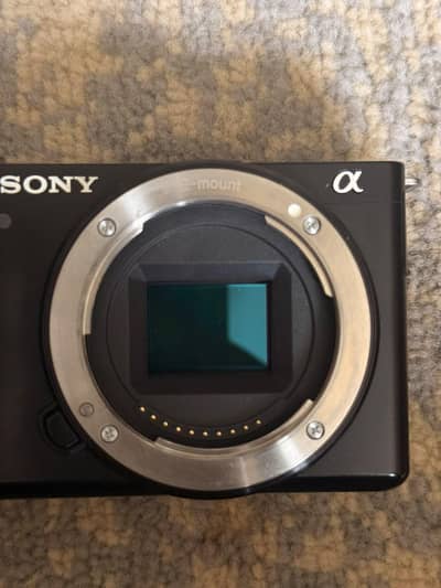 Sony ZV-E10 + 16-50mm Kit Lens