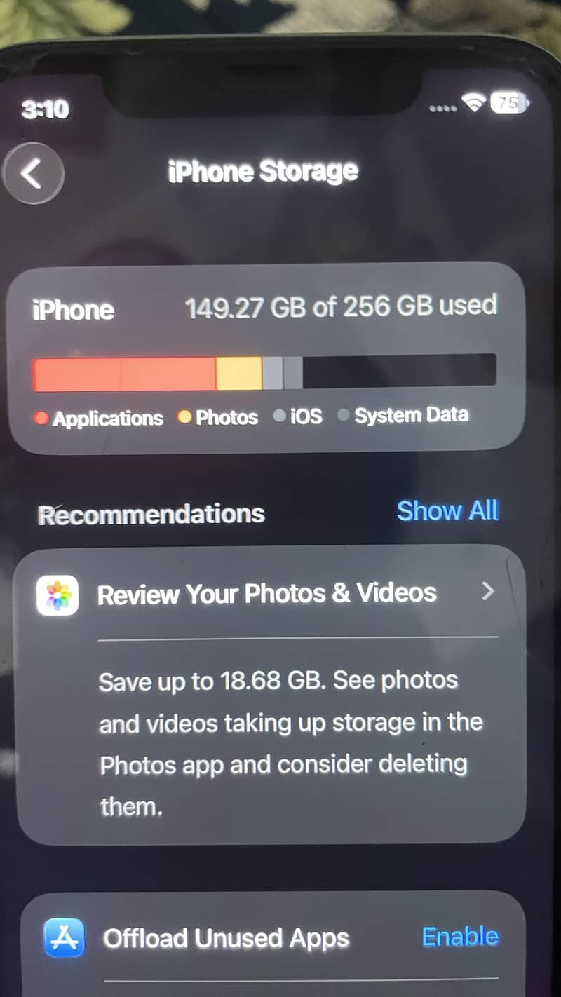 Apple iPhone 11 2