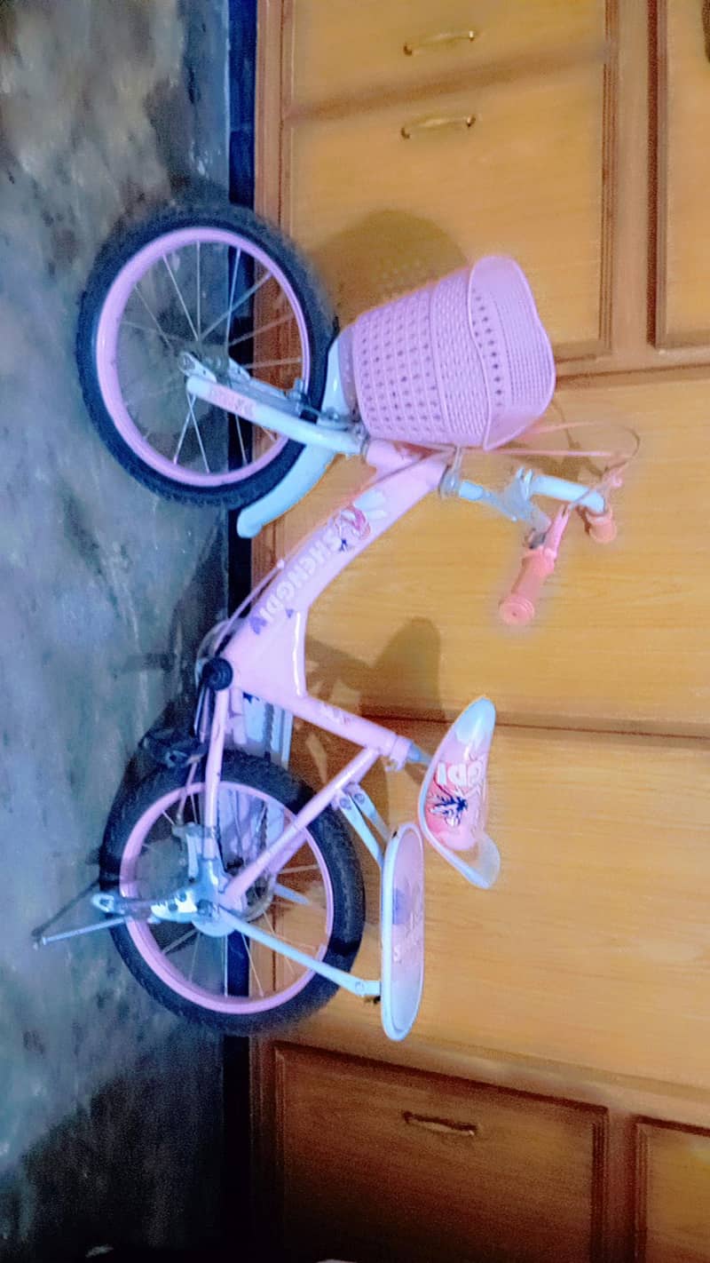 bicycle  1