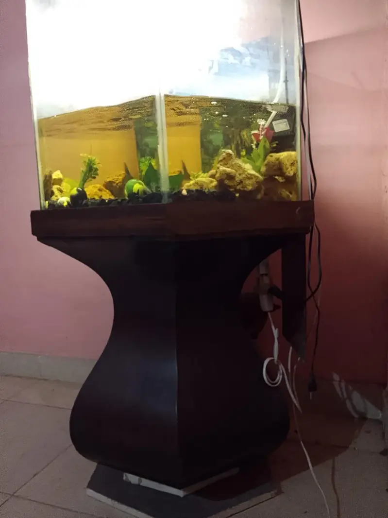 fish occarium — photo 2