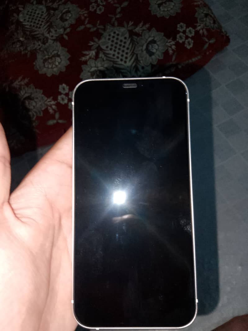 Apple iPhone 12 6