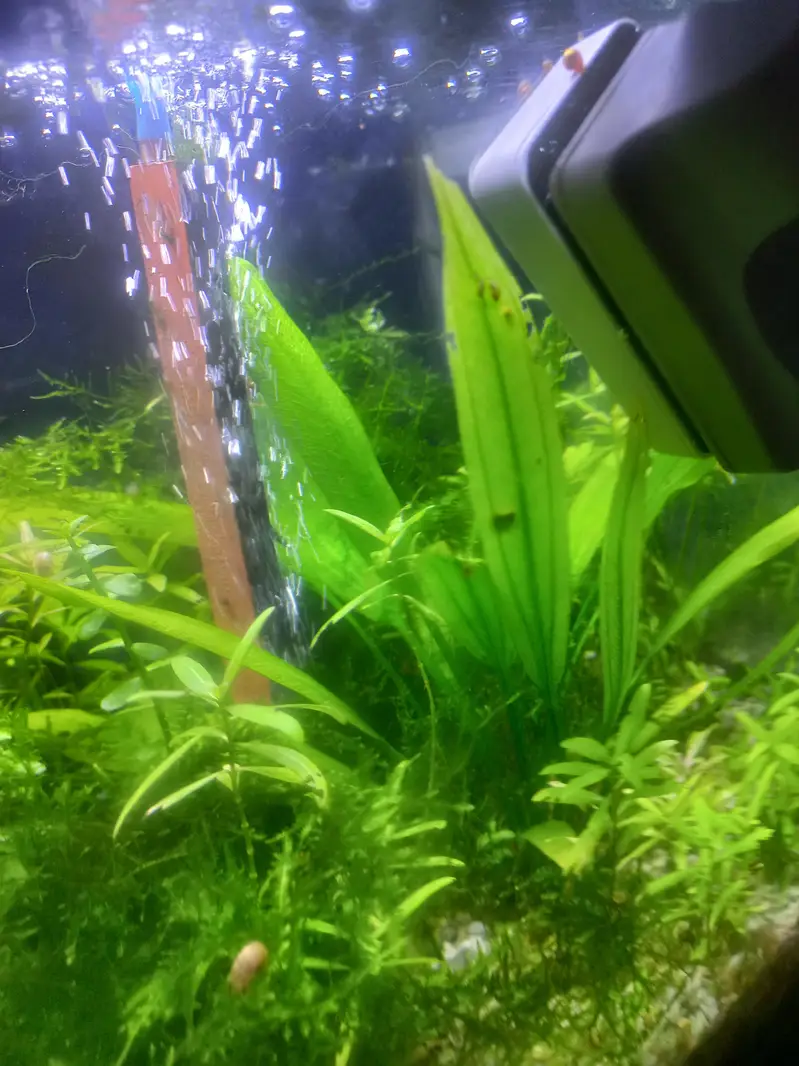 aquarium with turtle for sale — photo 2