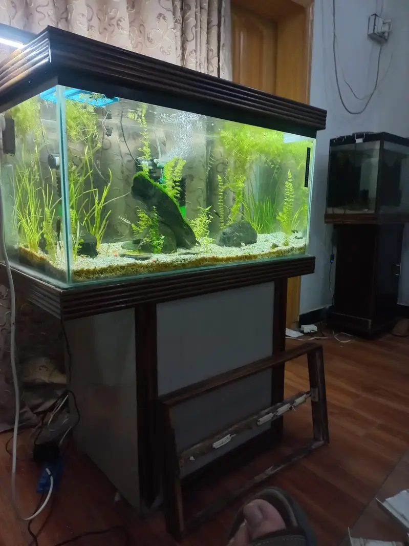 aquarium with turtle for sale — photo 4