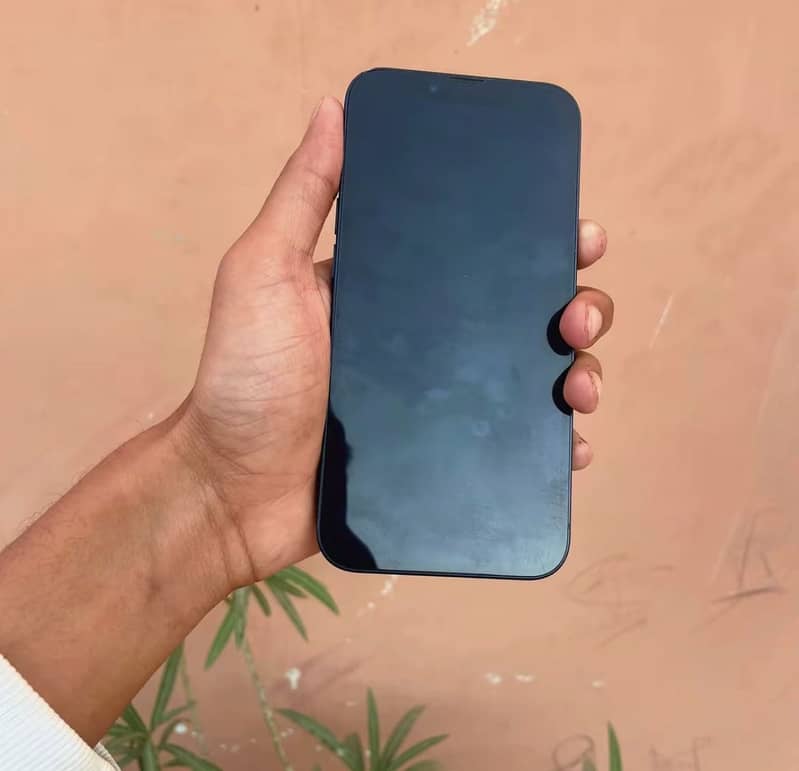 Apple iPhone 13 0