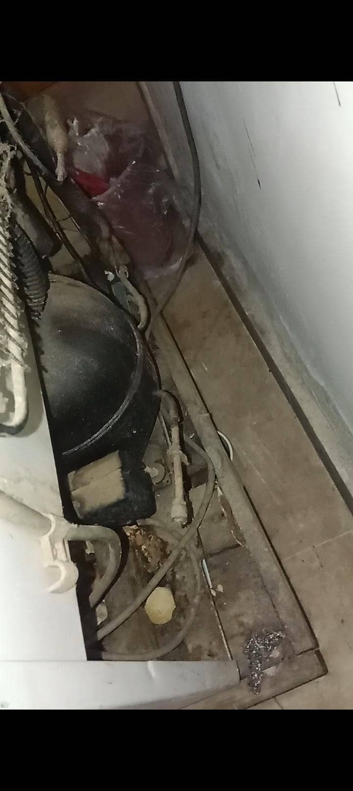 Medium size fridge 1