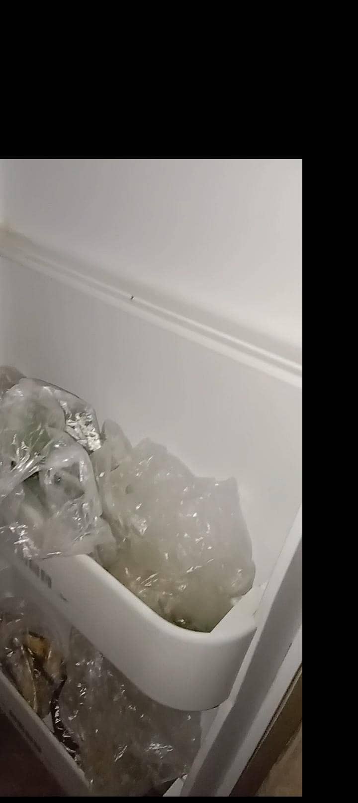 Medium size fridge 2