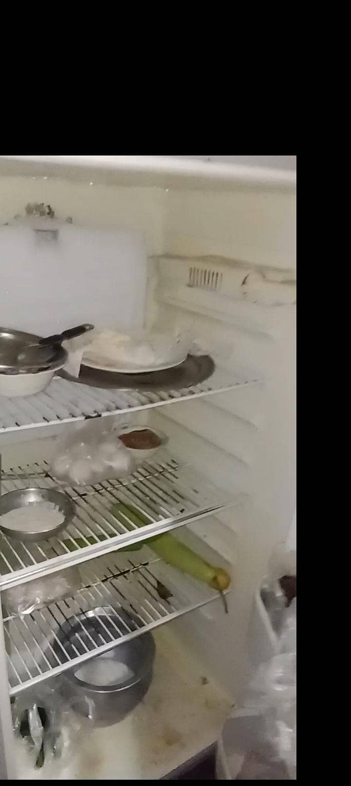 Medium size fridge 3