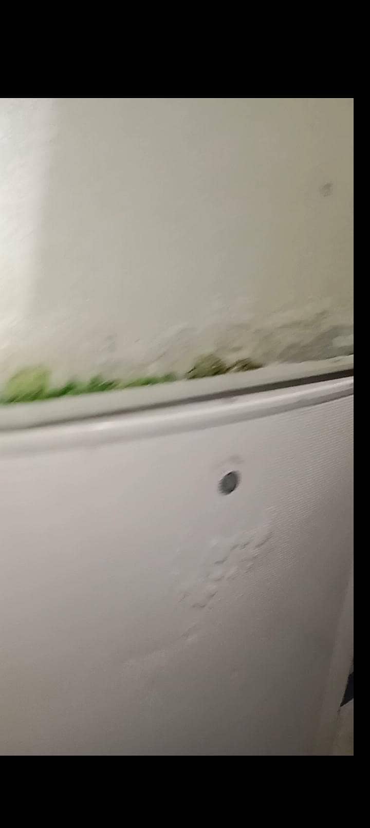 Medium size fridge 6