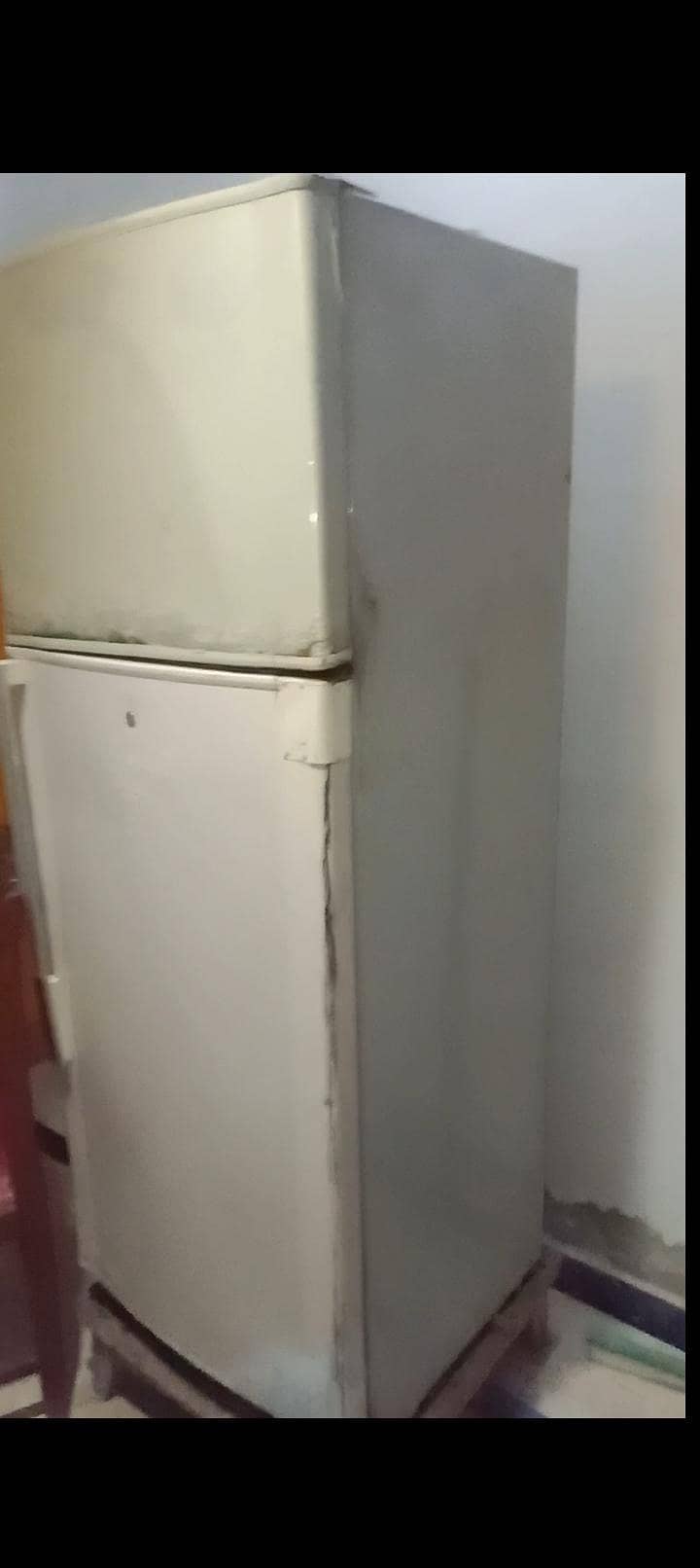 Medium size fridge 9