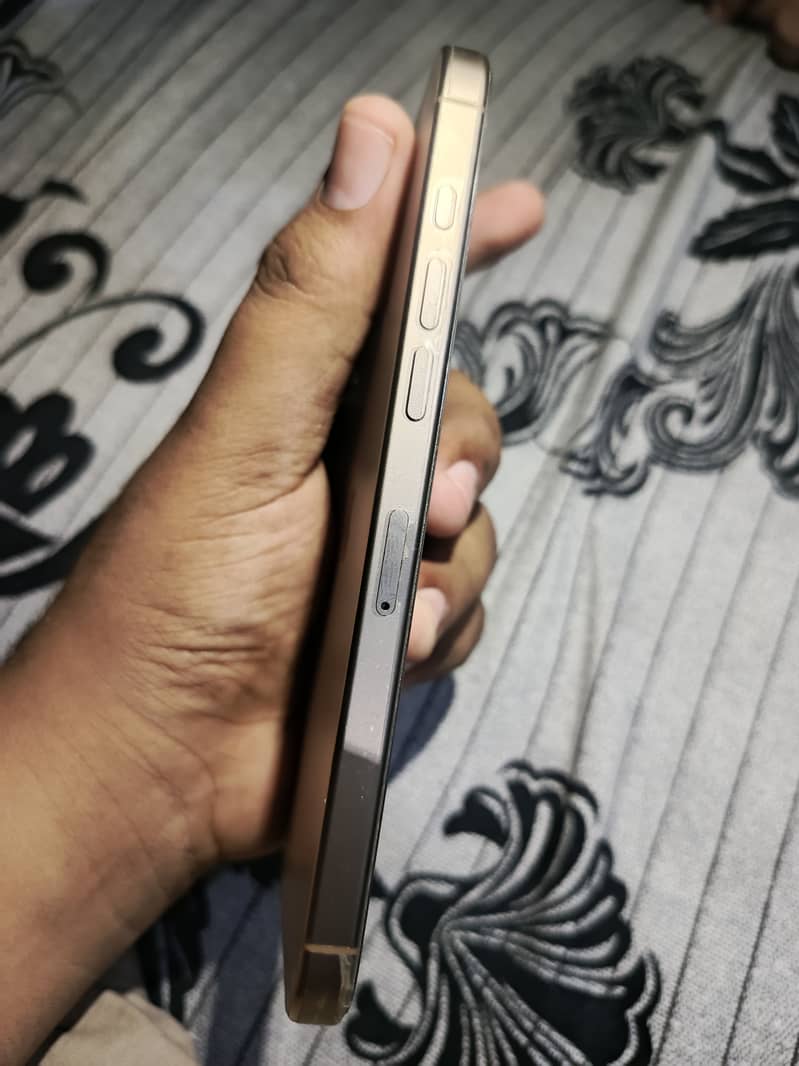 Apple iPhone 16 Pro Max 3
