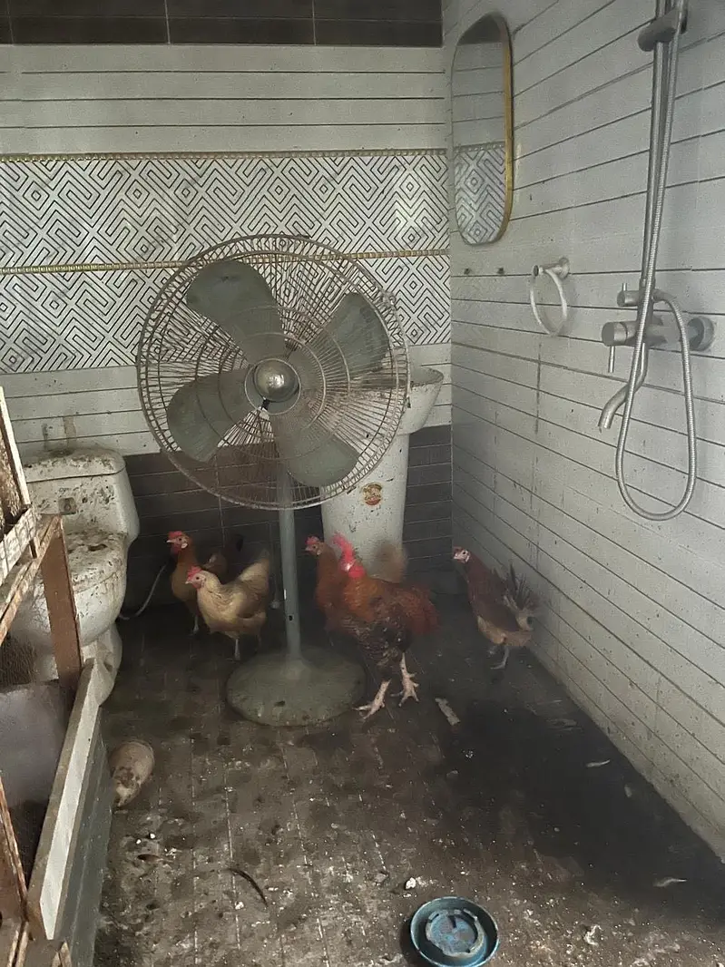 Hens Murgiyan — photo 2