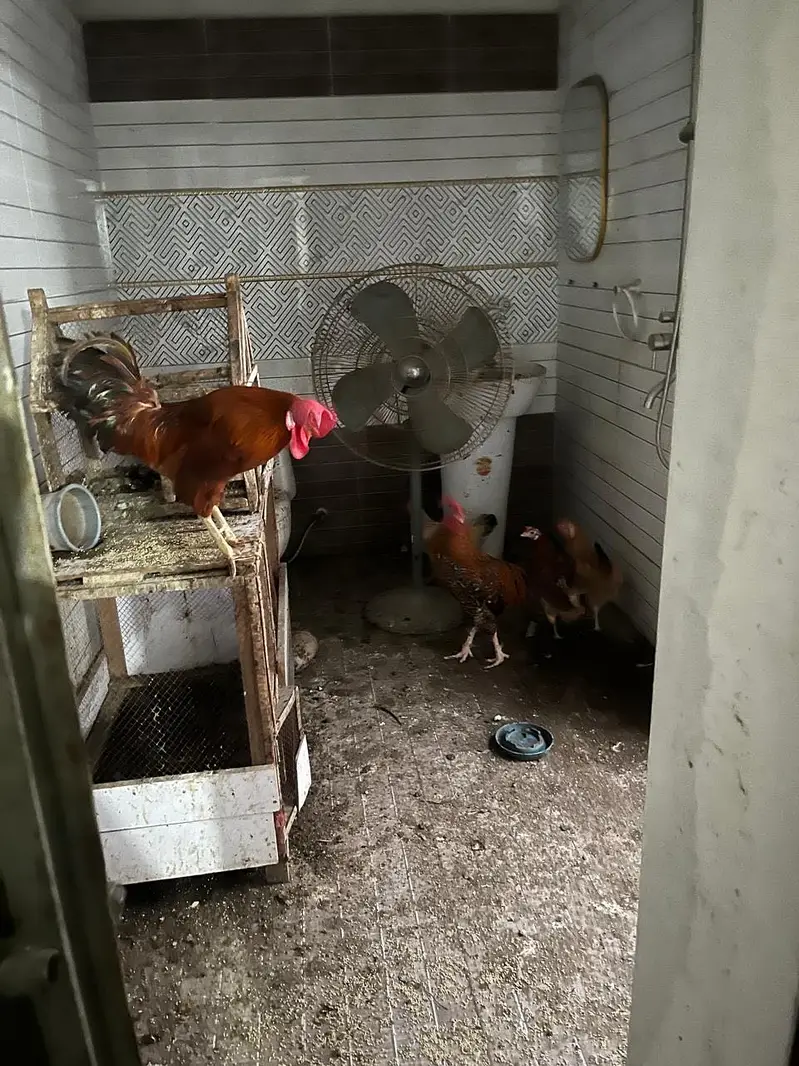 Hens Murgiyan — photo 3