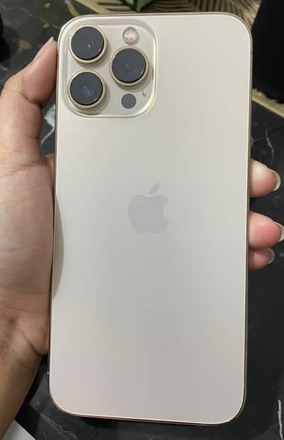 Apple iPhone 13 Pro Max