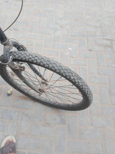 porshce cycle