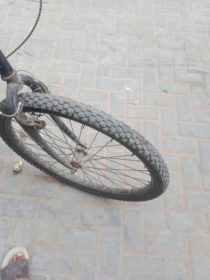 porshce cycle 0