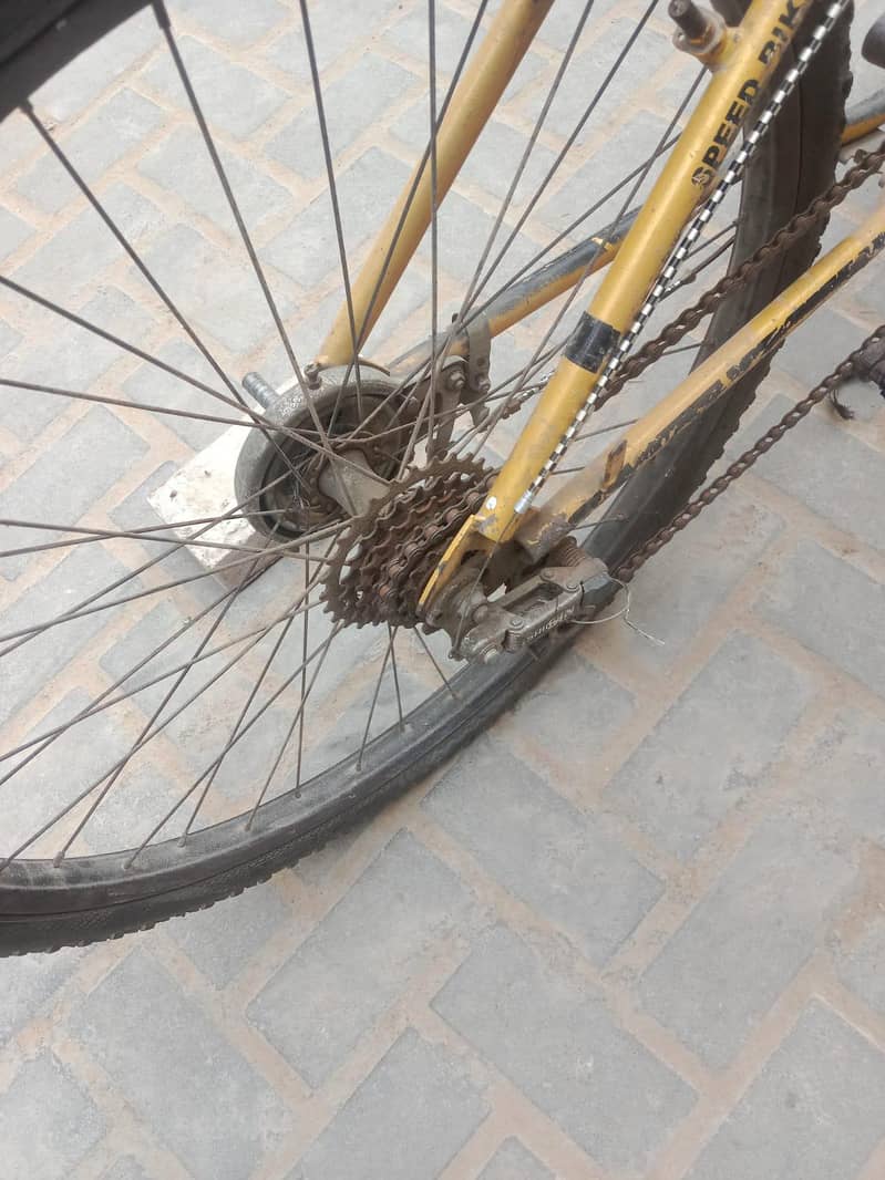 porshce cycle 2