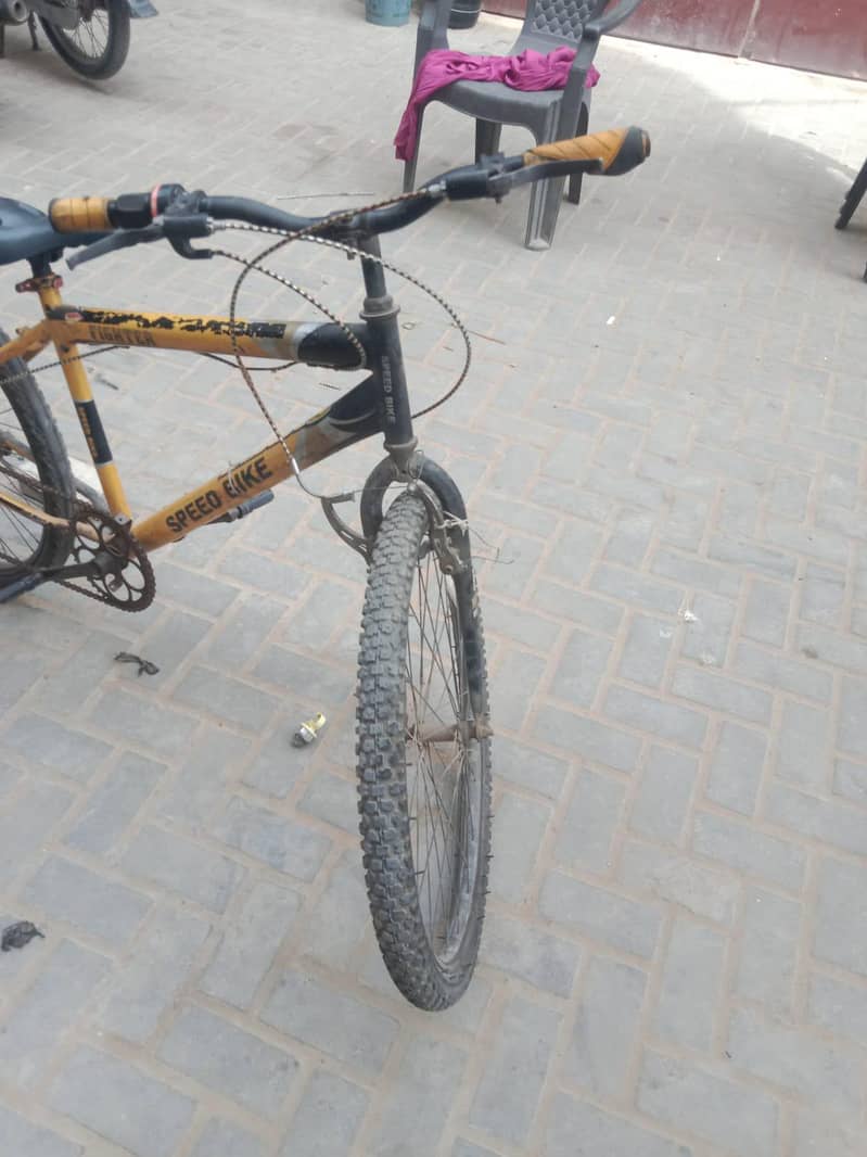porshce cycle 3