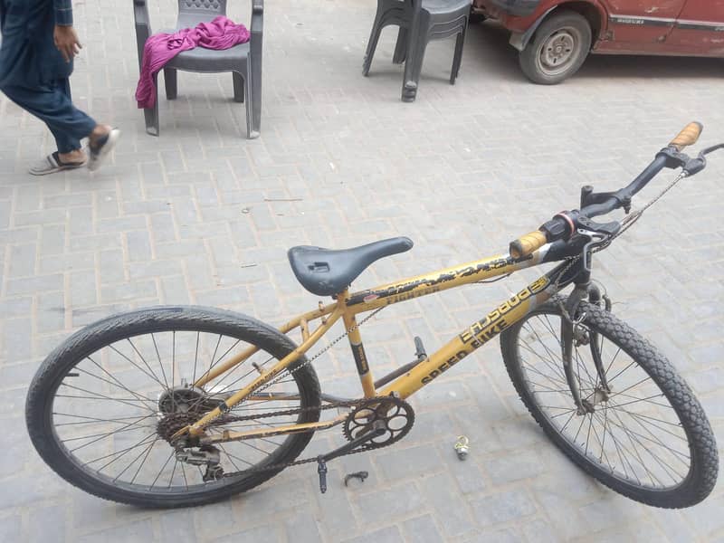 porshce cycle 5