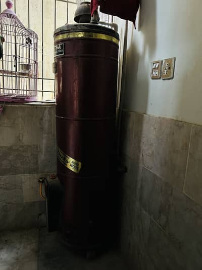 Geyser For sale