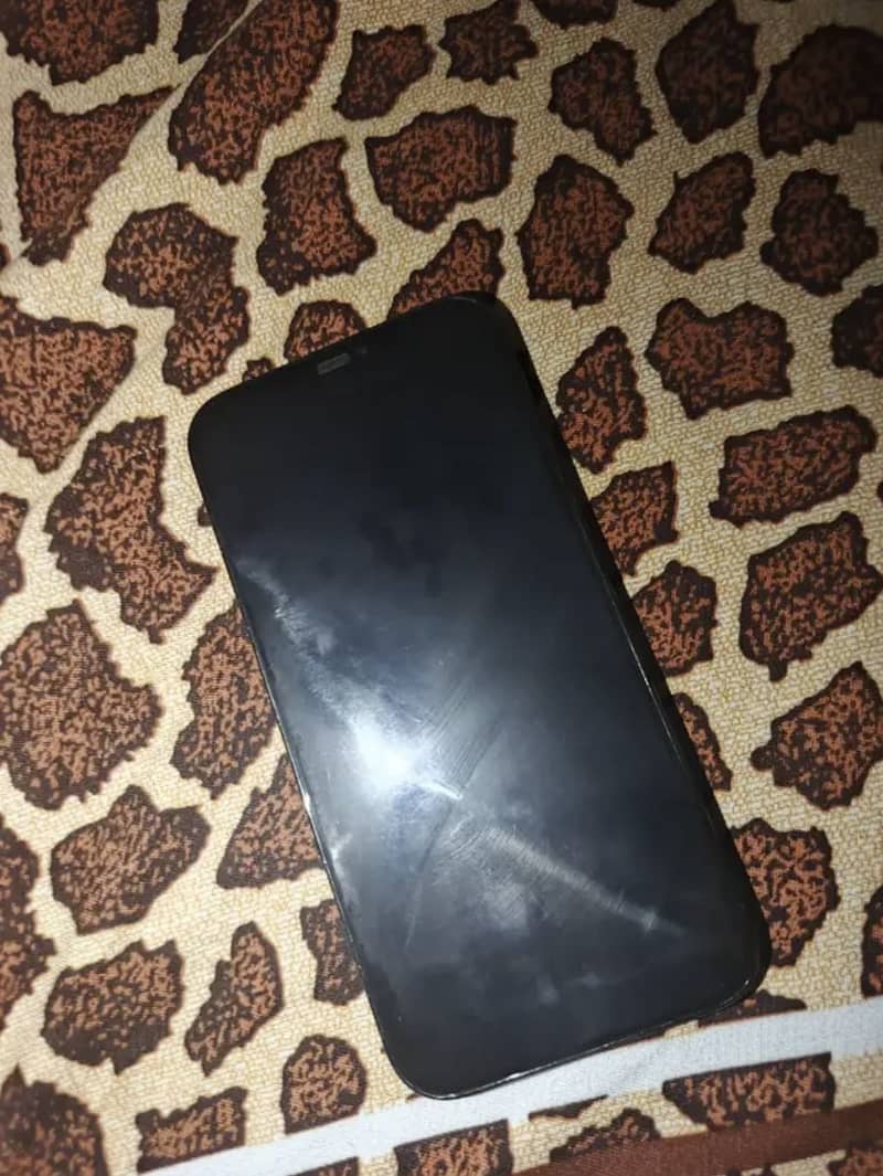 iPhone 12 Pro Max 2