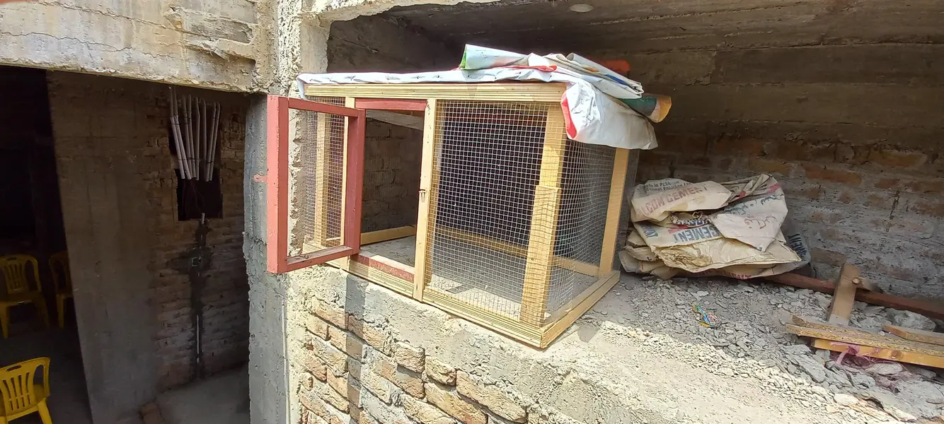 Hen cage — photo 3