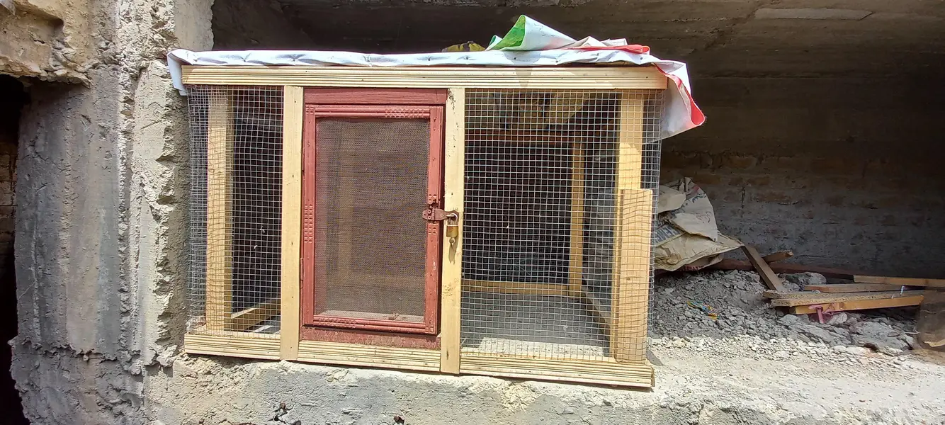 Hen cage — photo 4