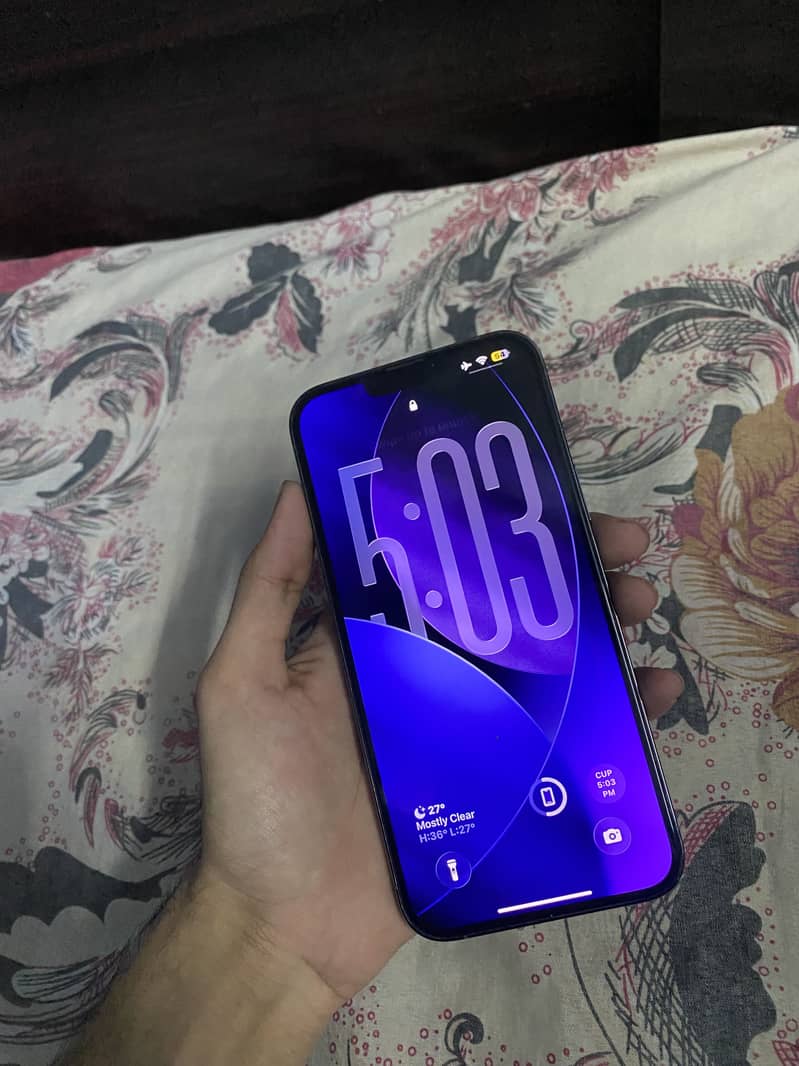 Apple iPhone 13 Pro Max 3