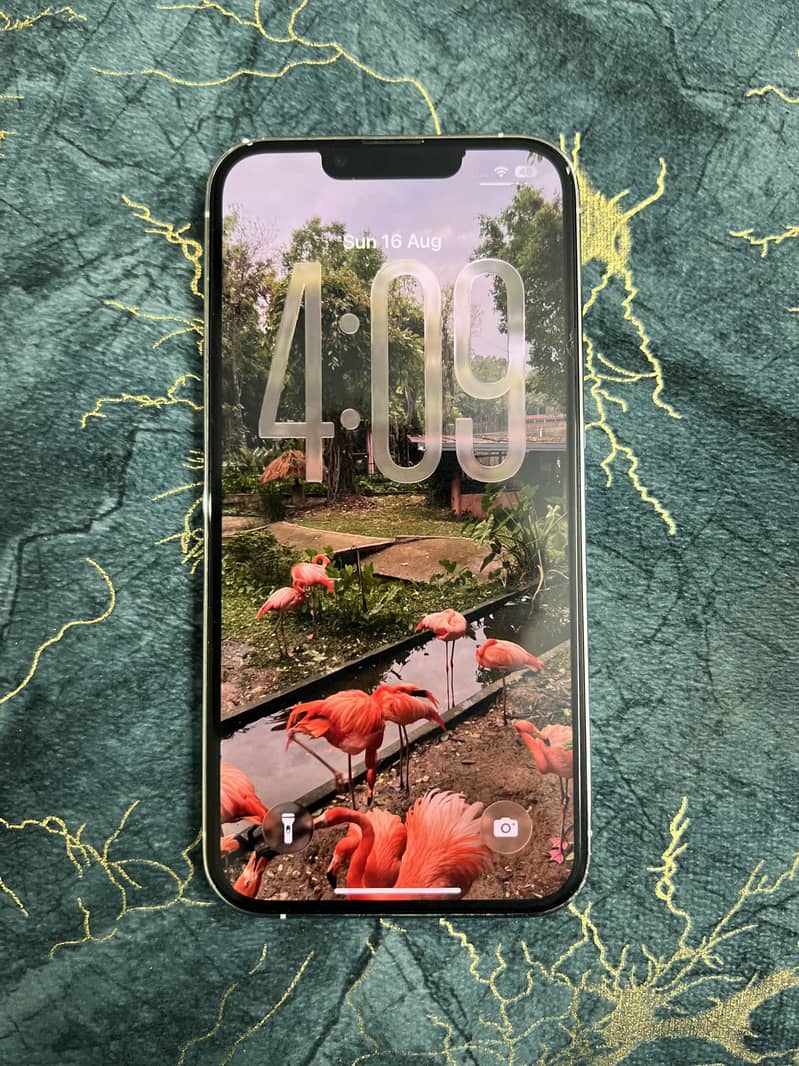 Apple iPhone 13 Pro 1