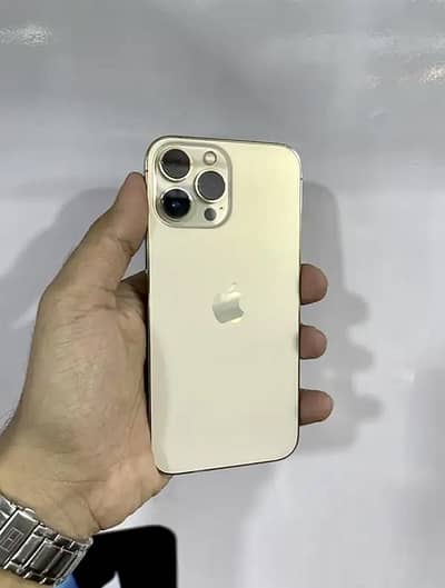 iPhone 13 Pro Max Waterpack Price Fix