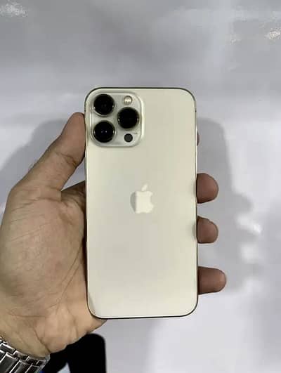 iPhone 13 Pro Max Waterpack Price Fix